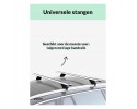 Baca Universal de 120 cm para Coches con Techo Cerrado