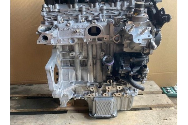 Motor DOG 1.5 BlueHDi para Citroën y Peugeot