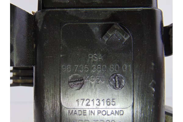 9673538080 FILTRO CARBONO ACTIVO PEUGEOT 308