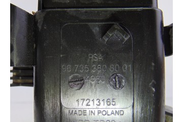 9673538080 FILTRO CARBONO ACTIVO PEUGEOT 308