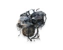 PETROL ENGINE LEXUS RX AND 3 0 1MZ Car type passenger cars