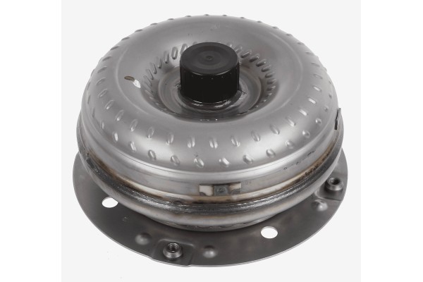 Torque transmission Sachs 0700 004 384