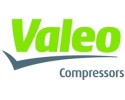 Air conditioning compressor Original Seltec Valeo TM15 12V 2A straight 3 4x7 8 Product weight with unit packaging 7 kg
