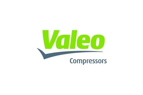 Air conditioning compressor Original Seltec Valeo TM15 12V 2A straight 3 4x7 8 Product weight with unit packaging 7 kg