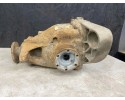 Rear reducer BMW 3 E90 7524325 2 0L gasoline 110kW 2009 Car type passenger cars
