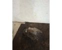 Diferencial delantero Mercedes-Benz E W212 A2213350208