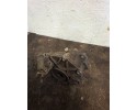 Front differential Mercedes Benz E W211 A2203350101