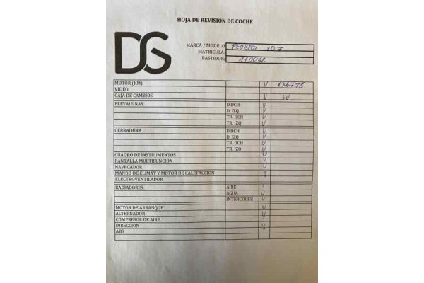 PEUGEOT 207 SW Outdoor