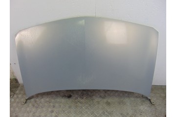 GRIS CAPO RENAULT MEGANE II COUPE/CABRIO Confort Authentique 2004 GRIS 204189 RENAULT - 1