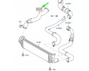 Manguera del Enfriador de Aire del Turbo FORD 1525264
