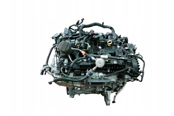 Ford Edge II 2019 Engine Car type 4x4 SUV