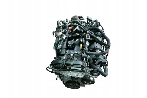 Ford Edge II 2019 Engine Catalog number of the original RFLB5E6015AC