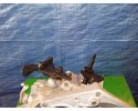 Transmission 20CP43 1 6B Peugeot 307 Citroen 4 Catalog number of the part 20CP43