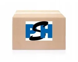 Compresor de Aire Acondicionado Ford PSH 090.595.094.876