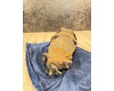 2004 Mercedes Benz E W211 Rear differential A2303511108