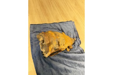 2004 Mercedes Benz E W211 Rear differential A2303511108 Car type passenger cars