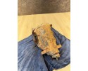 2004 Mercedes Benz E W211 Rear differential A2303511108 Installation side multipurpose