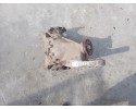 Rear Bridge Dyfer Chevrolet Suburban Tahoe GMC Yukon 2023