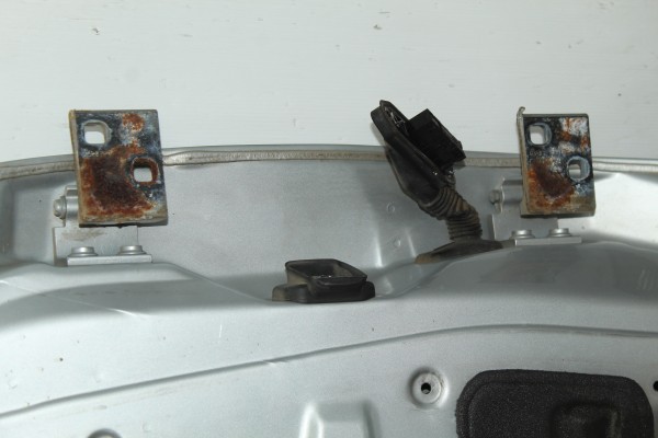 PLATA PUERTA DELANTERA IZQUIERDA BMW SERIE X5 (E53) 3.0i 2000 PLATA 209798 BMW - 2