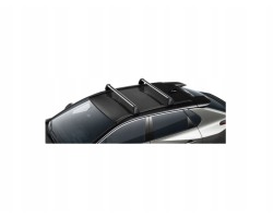 TOYOTA Bz4x Roof luggage railings original beam PW301 42004 OE