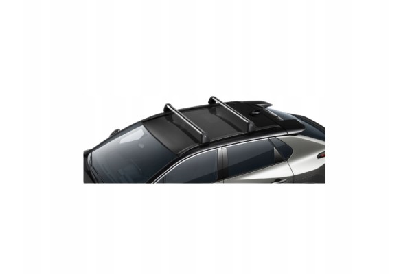 TOYOTA Bz4x Roof luggage railings original beam PW301 42004 OE