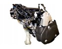Motor BMW i3 Rex W20K06A NUEVO