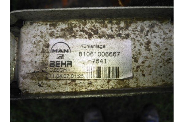 MAN TGL TGM CHODNICA POWIETRZA 81061006667 Catalog number of the part 81061006667