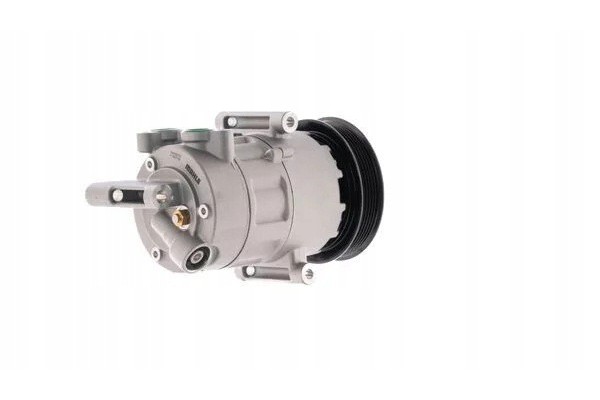 AIR CONDITIONING SPRAYER ACP1660000S MAH MAHLE ORIGINAL Catalog number of the original FORD 1578424 FORD 1863633 FORD 7C1119D629
