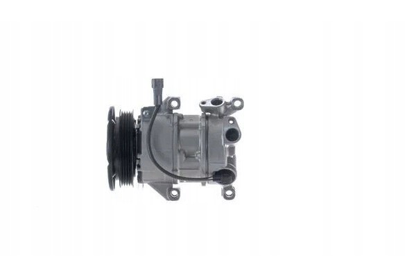 AIR CONDITIONING SPRAYER ACP481000S MAH MAHLE ORIGINAL Car type passenger cars