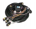 ELECTRONICS KME NEVO PLUS 8 cylinders DG5 Quality of parts according to GVO Q original with factory logo OEM OES
