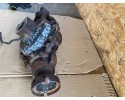 BRIDGE FORD RANGER III T6 EB3G3B079AP FRONT DIFFERENTIAL Car type trucks