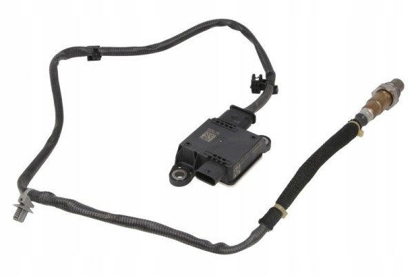 Particulate sensor