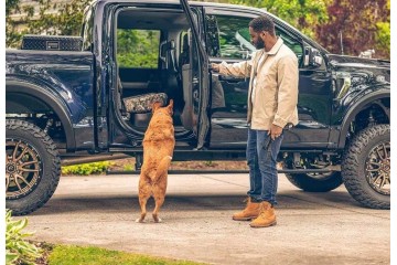 THRESHOLD THRESHOLDS ELECTRIC STEPS RETRACTABLE SET WITHOUT LED FORD F 150 2021 24 Car type 4x4 SUV passenger cars