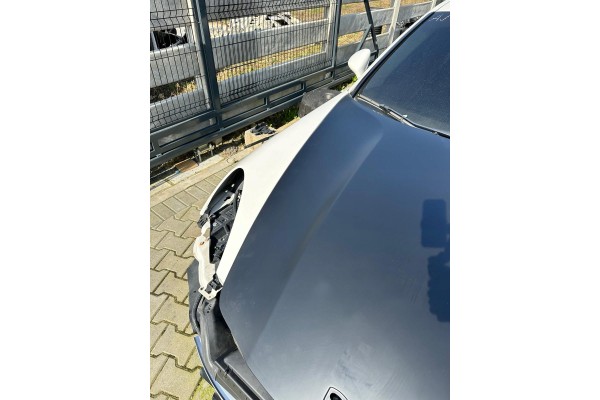 HOOD ENGINE COVER FRONT PORSCHE PANAMERA 970 10 16 NEW FLAP FRONT Customs tariff code 87082990