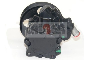 LAUBER 55 0399 Hydraulic pump for steering gear new Car type cargo vans passenger cars