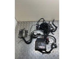 Dodge Grand Caravan 2002 LPG Complete