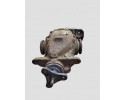 2009 BMW 1 E81 E87 Rear differential 7526169