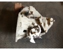 Transmission Ford Mondeo Mk4 2 0 TDCI 140HP 7G9R7002YF Packaging status replacement