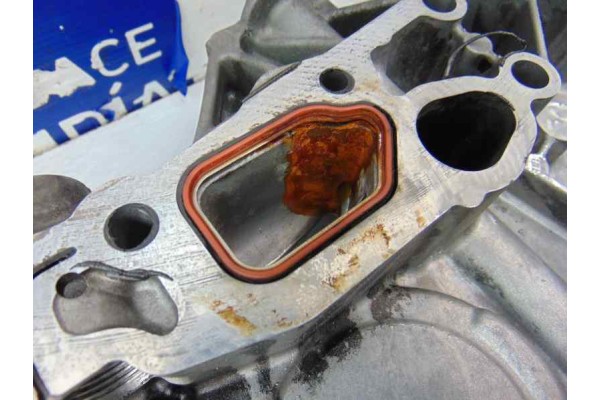 R61101511029 TAPA DISTRIBUCION MERCEDES-BENZ CLASE ML (BM 163) 270 CDI (163.113) 2002 R61101511029 176636 MERCEDES-BENZ - 2