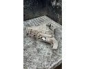 Rear reducer PORSCHE CAYENNE 92A 446031015 hybrid 245kW 2017 Part manufacturer Porsche OE