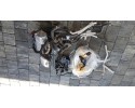 WEBASTO AUDI Q74M ZESTAW 4M0265081AG Part manufacturer Audi OE