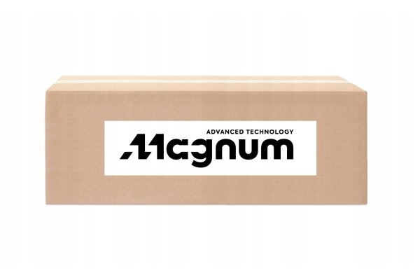 Rear spring 9 22 100 740 740 construction version MAGNUM TECHNOLOGY MLS 66981000