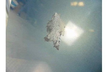 VERDE CAPO VOLVO S80 BERLINA D5 2004 VERDE 183353 VOLVO - 5