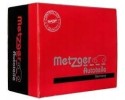 0896553 MTZ METZGER LIGHT MODULE