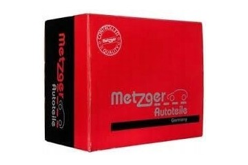 0896553 MTZ METZGER LIGHT MODULE