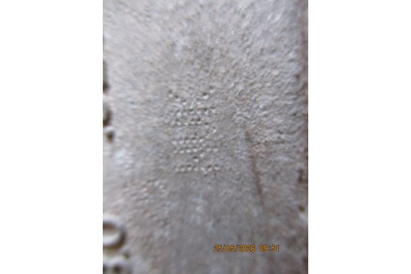 Diferencial Trasero Audi Q3 8U0 NVK