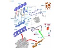 Tubería de Combustible FORD ECOSPORT MK2 BK 1918296 FM5Q-9D350-CA ORI