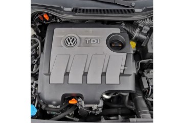 CLN complete engine 1 6 Euro5 TDI CLNA CLNC Volkswagen Skoda Audi E5