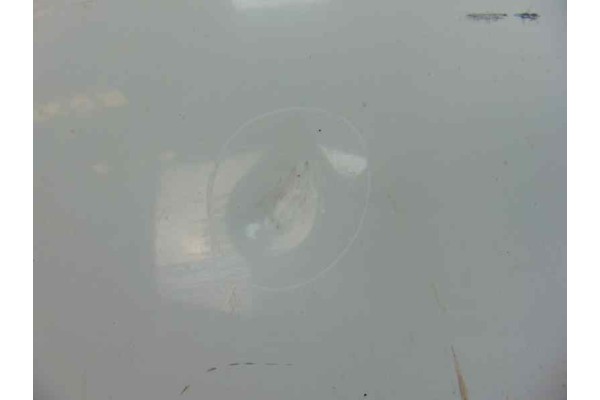 BLANCA CAPO RENAULT TRAFIC II FURGÓN L1H2  2,9T   Caja cerrada, techo elevado, corto BLANCA 181436 RENAULT - 3