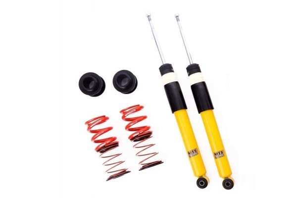 SUSPENSION THREADED thread rear BMW E36 E46 MTS rear TUV black gold galvanized Catalog number of the part CTS tuning GOLD